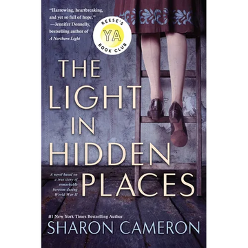 The Light in Hidden Places - Paperback