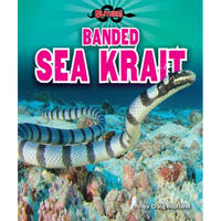 Banded Sea Krait - Library Binding
