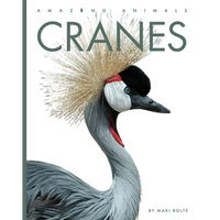Cranes - Library Binding
