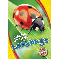 Ladybugs - Library Binding
