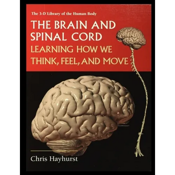 The Brain and Spinal Cord: Learning How We Think, Feel and Move - Paperback