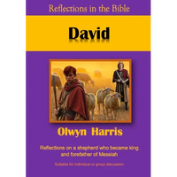 David - Paperback