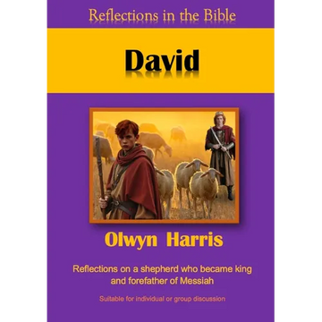 David - Paperback