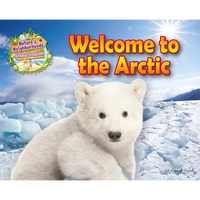 Welcome to the Arctic - Library Binding