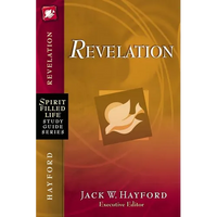 The Revelation - Paperback