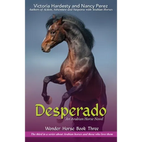 Desperado - Paperback