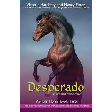 Desperado - Paperback
