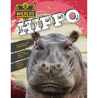 Hippo - Paperback