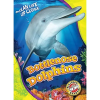 Bottlenose Dolphins - Library Binding