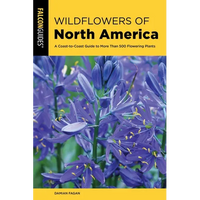 Wildflowers of North America - Paperback