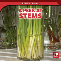 A Peek at Stems - Paperback