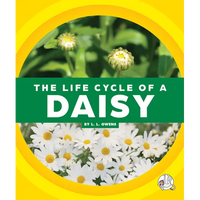 The Life Cycle of a Daisy - Library Binding