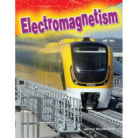 Electromagnetism - Paperback