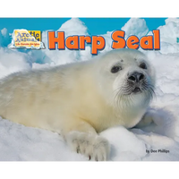 Harp Seal - Paperback