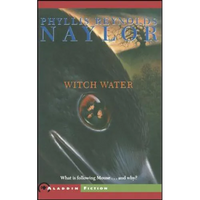Witch Water - Paperback