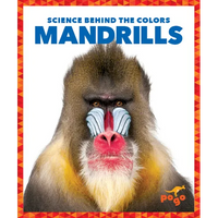 Mandrills - Paperback