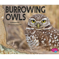 Burrowing Owls - Paperback