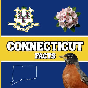 Connecticut Facts: Interesting Facts About Connecticut - Paperback