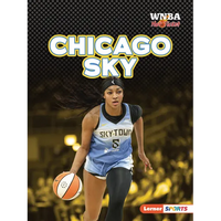 Chicago Sky - Paperback