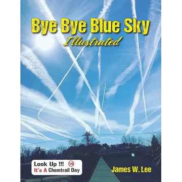Bye Bye Blue Sky Illustrated: Color - Paperback