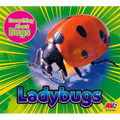 Ladybugs