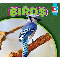 Birds - Library Binding