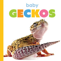 Baby Geckos - Paperback
