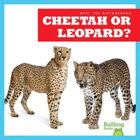 Cheetah or Leopard? - Library Binding