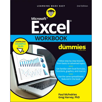 Excel Workbook for Dummies - Paperback