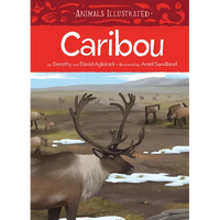 Animals Illustrated: Caribou - Hardcover