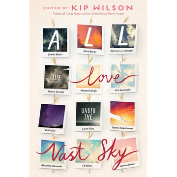 All the Love Under the Vast Sky - Hardcover