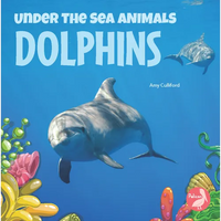 Dolphins - Paperback