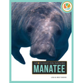 Manatee