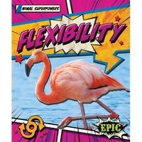 Flexibility - Paperback