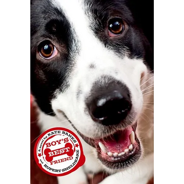 Boy's Best Friend - Paperback