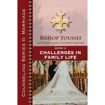 Book 4: Challenges in Family Life - Paperback