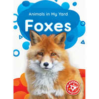 Foxes - Paperback