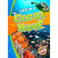 Life in a Coral Reef - Paperback