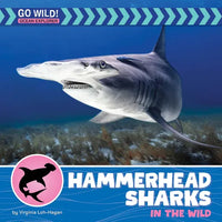 Hammerhead Sharks in the Wild - Library Binding