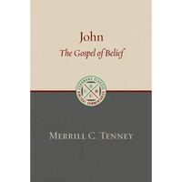John: The Gospel of Belief: An Analytic Study of the Text - Paperback