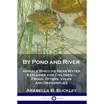 By Pond and River: Animals Who Live Near Water Explained for Children - Frogs, Otters, Voles and Dragonflies - Paperback