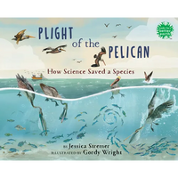 Plight of the Pelican: How Science Saved a Species - Hardcover