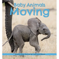 Baby Animals Moving