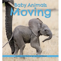 Baby Animals Moving - Paperback