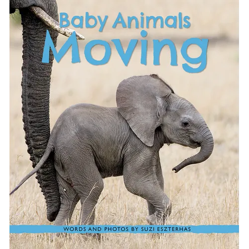 Baby Animals Moving