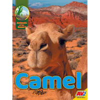 Camel - Library Binding