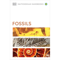 Fossils - Paperback