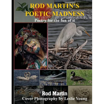 Rod Martin's Poetic Madness: Poetry for a New World and All Earth's Children - Paperback