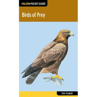 Birds of Prey - Paperback