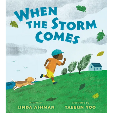 When the Storm Comes - Paperback